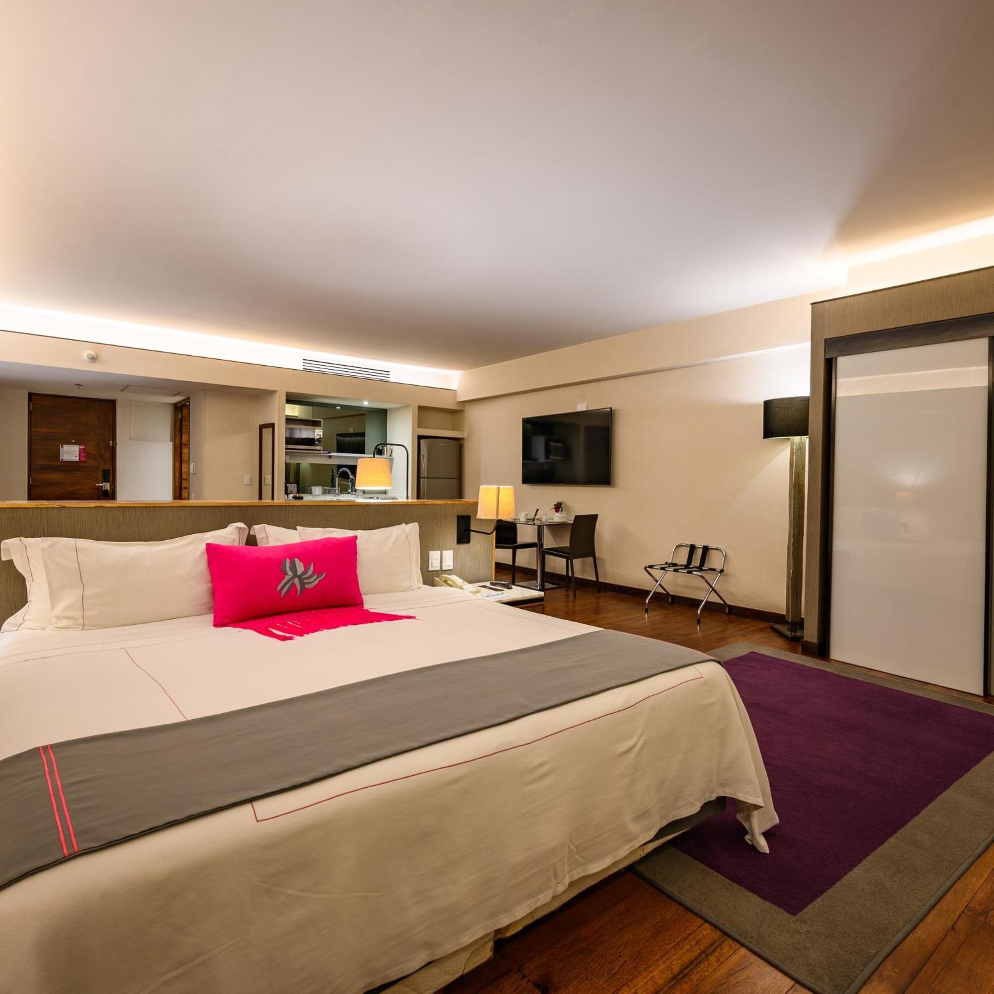 Las Suites Campos Eliseos Ciudad de México Exteriér fotografie